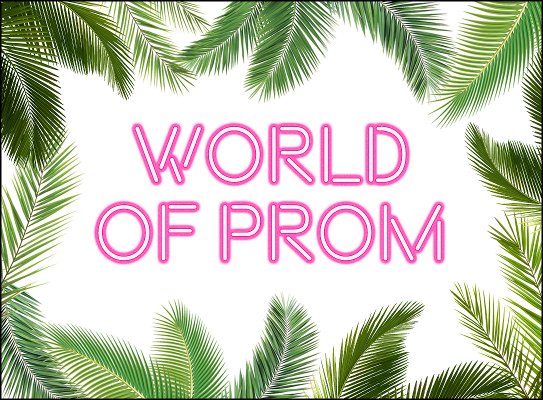 World of Prom Follow-Up